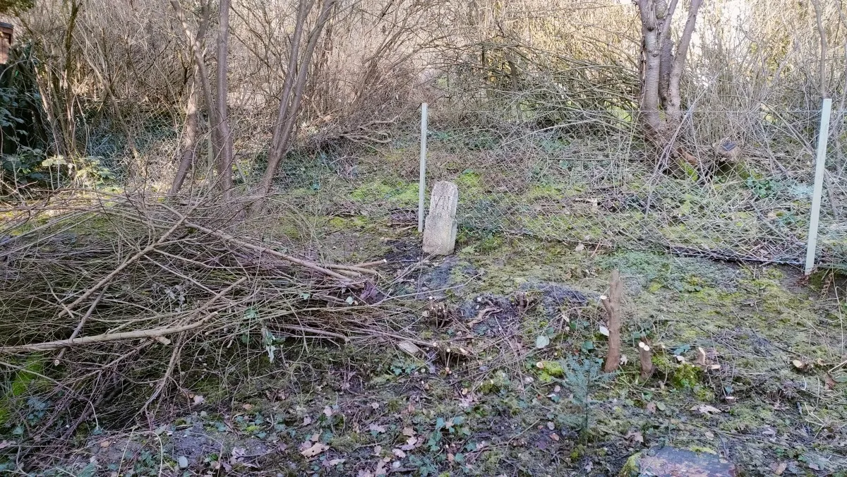 X Das Grab des Erw Titelbild